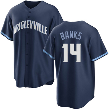 Chicago Cubs Ernie Banks #14 2020 Mlb Grey Jersey - Bluefink