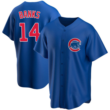 Men's Majestic Chicago Cubs #14 Ernie Banks Replica Grey 1990 Turn Back The  Clock MLB Jersey