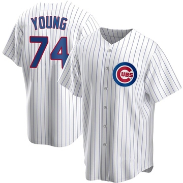 Jared Young Chicago Cubs Youth Gray Roster Name & Number T-Shirt 